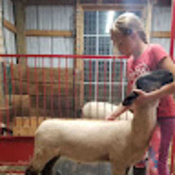 Meet your Posher, Sandy - Picture 1 of 1